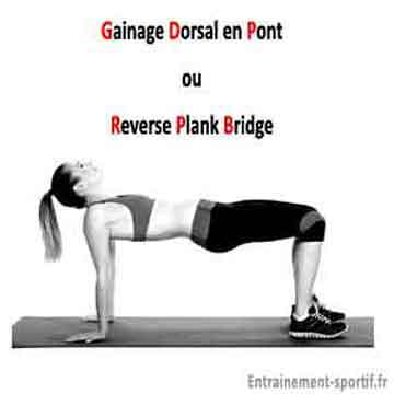 gainage dorsal en pont ou reverse plank bridge
