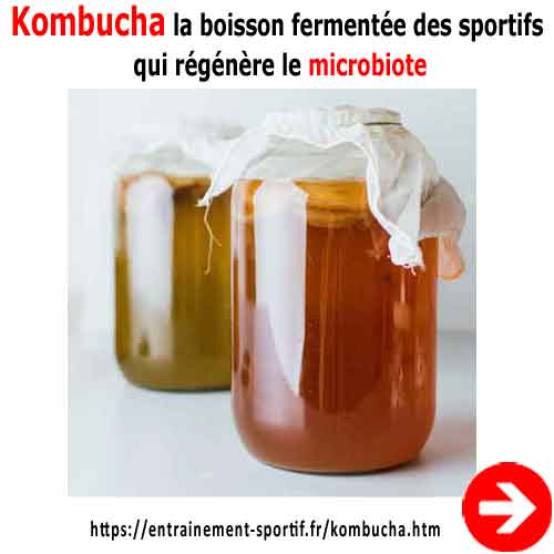 Kombucha boisson du sport fermentée et énergétique qui régénère le microbiote