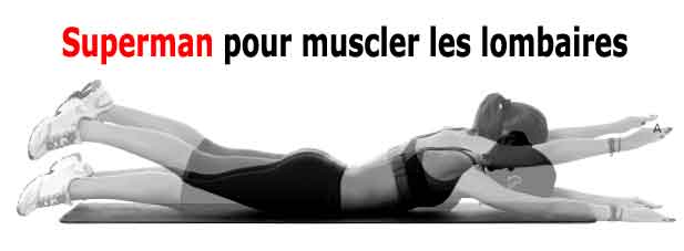 exercice de musculation pour les lombaires, muscles antagonistes des abdominaux obliques