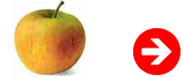 manger une pomme pour maigrir