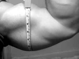 mesure du tour de bras au niveau du biceps brachial