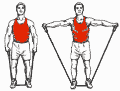 exercice de musculation pour les epaules avec bande elastique