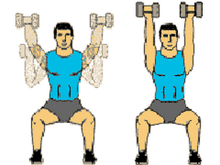 musculation épaule avec haltères développé assis
