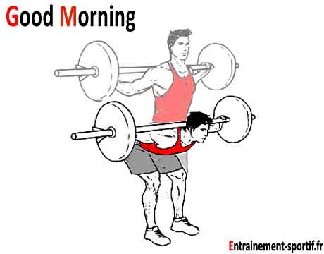 exercice de musculation good morning contre protusion discale