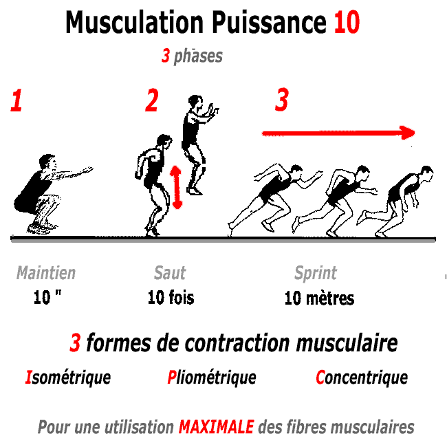 les exercices du programme musculation puissance 10