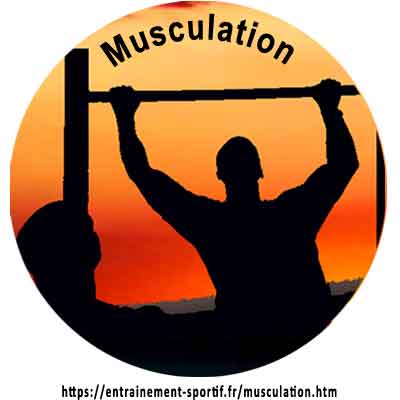 programme de musculation pour homme et femme