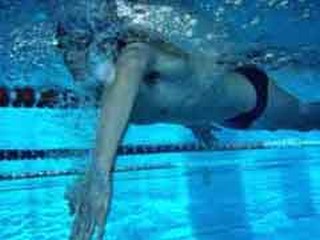 Musculation en natation pour nager vite en crawl