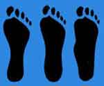 pieds plats pieds creux