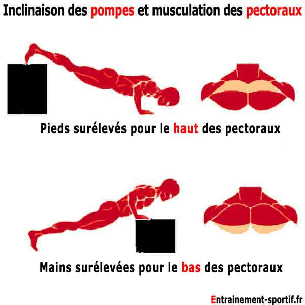 Pompes 13 Exercices Pour Muscler Vos Bras Et Vos Pectoraux Pompes 13 Exercices Pour Muscler Vos Bras Et Vos Pectoraux