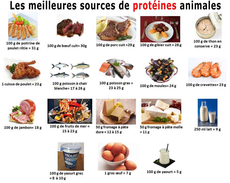meilleures sources de protéines animales