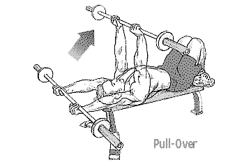le pull-over en musculation