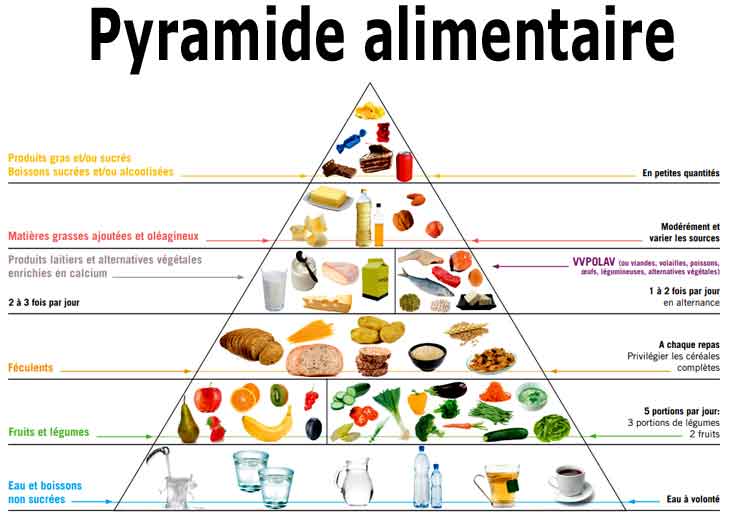 la pyramide alimentaire demeure la référence commune pour tous les humains