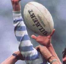 entrainement de rugby exercices et musculation