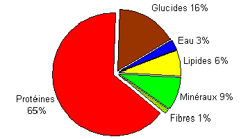 65% de protéines dans la composition de la spiruline
