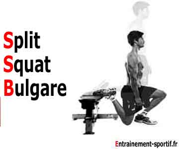 split squat bulgare