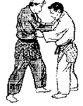 sport de combat judo