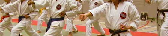 sport de combat entraînement karate