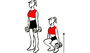 squat en musculation pour maigrir