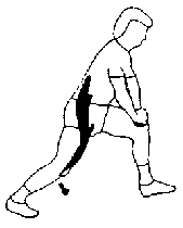 exercice de stretching pour les lombaires phase de contraction