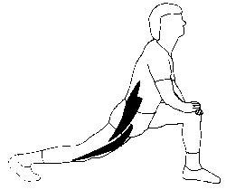 exercice de stretching pour les lombaires phase d'etirement
