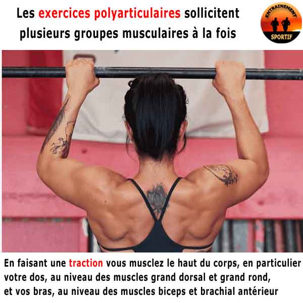 Les exercices polyarticulaires sollicitent plusieurs groupes musculaires