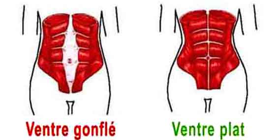 Avoir ventre plat